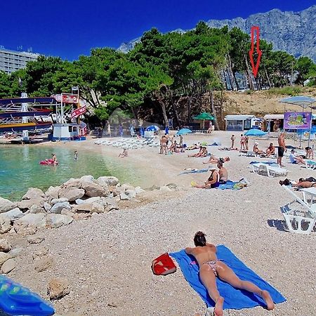 Apartmani Neva Makarska Extérieur photo